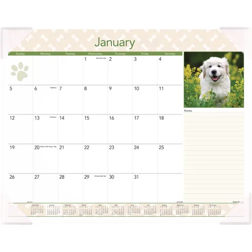 Puppies Monthly Desk Pad Calendar, Puppies Photography, 22 x 17, White Sheets, Clear Corners, 12-Month (Jan to Dec): 2025 Questions & Answers